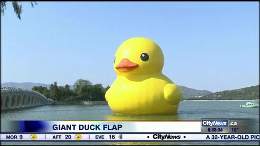 Giant Rubber Duck Coming To Toronto Counterfeit Dutch Artist Claims Youtube