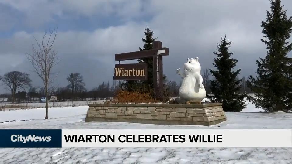 Wiarton celebrates Willie on Groundhog Day