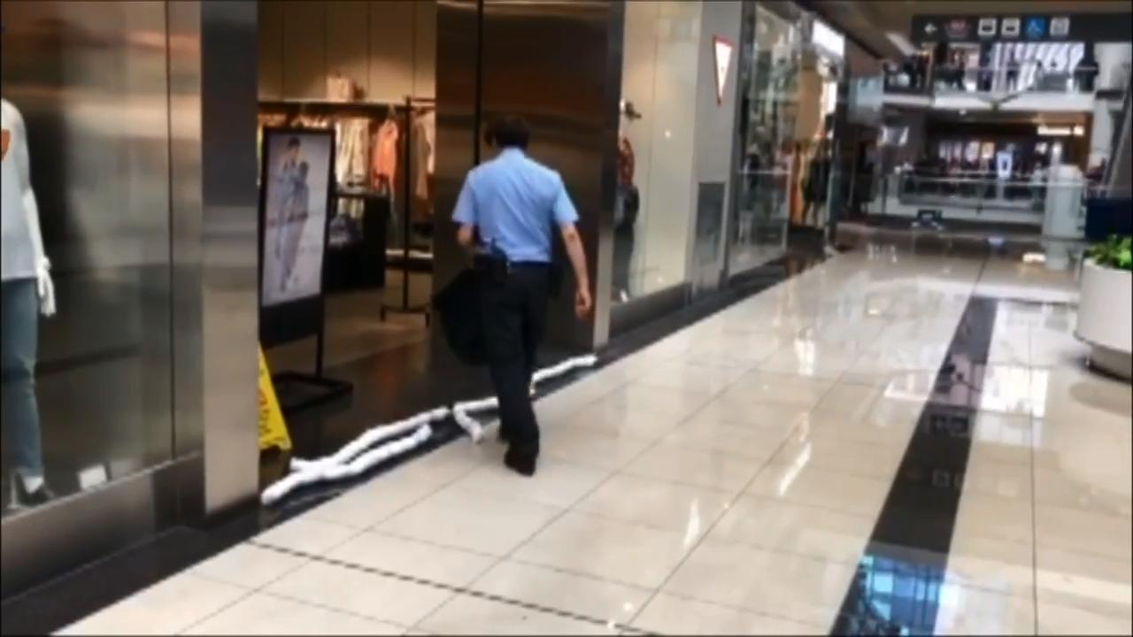 Flooding in Eaton Centre following heavy rain | CityNews Toronto