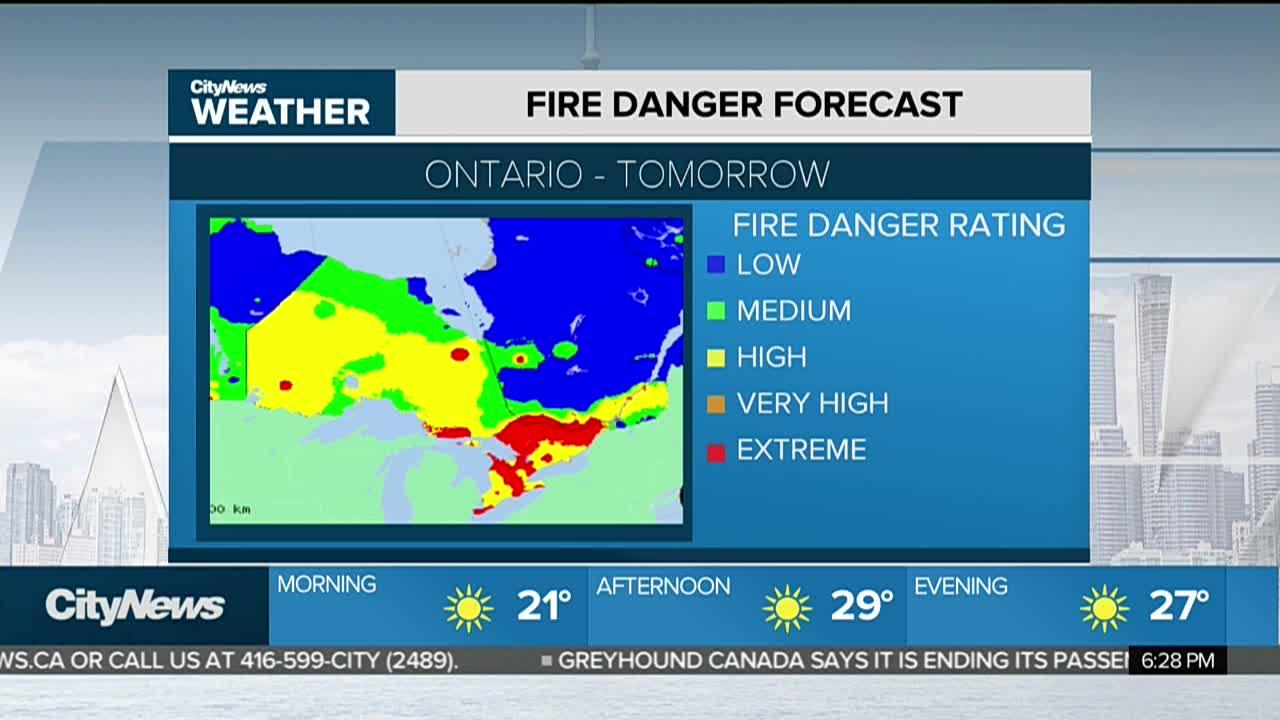 Forest Fires Scorch Cottage Country