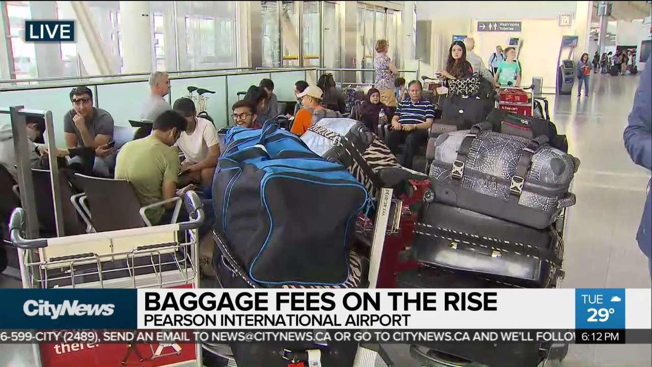 Two Canadian airlines hike baggage fees Video CityNews Winnipeg