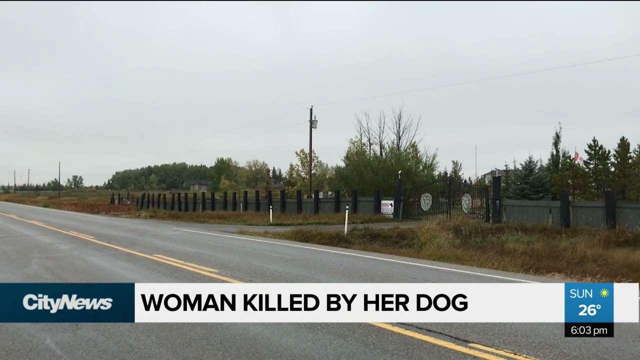 Calgaryarea woman killed by her own dog CityNews Calgary
