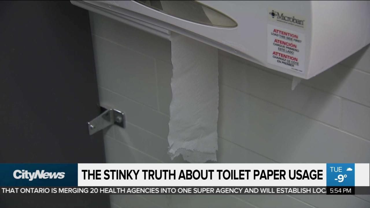 Excessive toilet paper usage wiping out Canadian forests CityNews Toronto