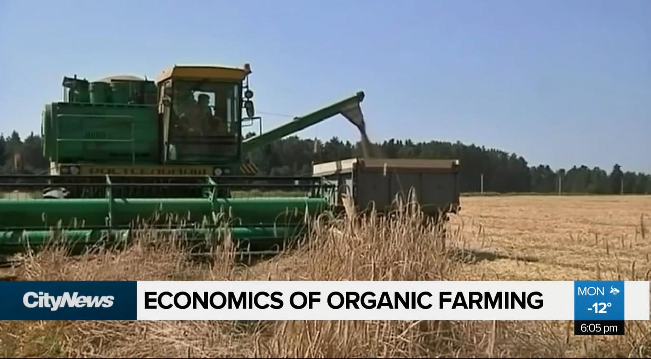 Economics of organic farming