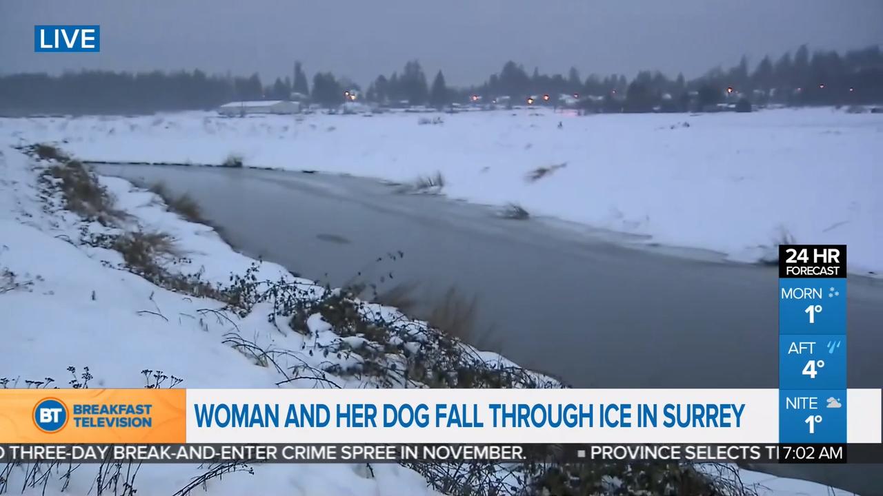 woman and her dog