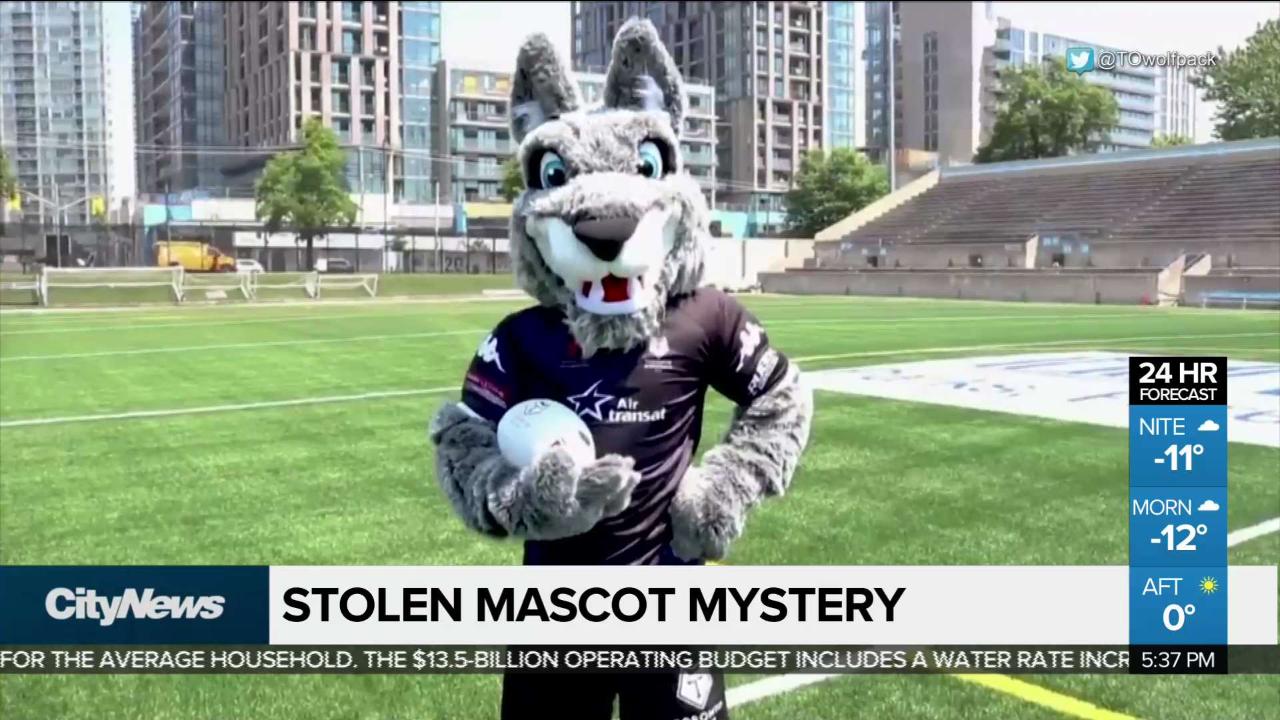 The Mystery Of The Missing Toronto Wolfpack Mascot