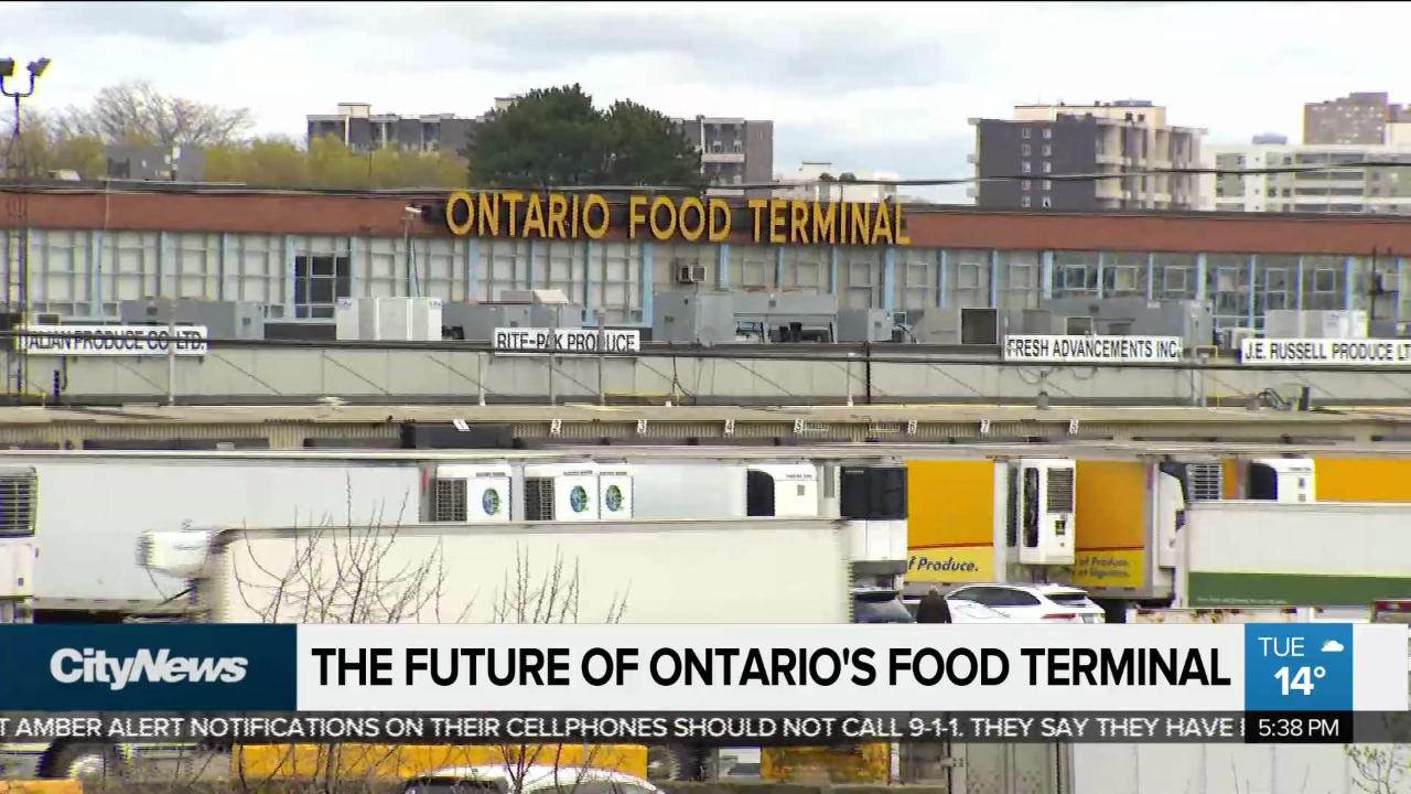 The future of Ontario Food Terminal CityNews Toronto