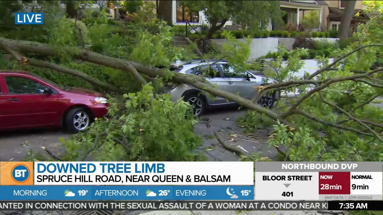 Large tree limb falls on 2 cars in the Beaches