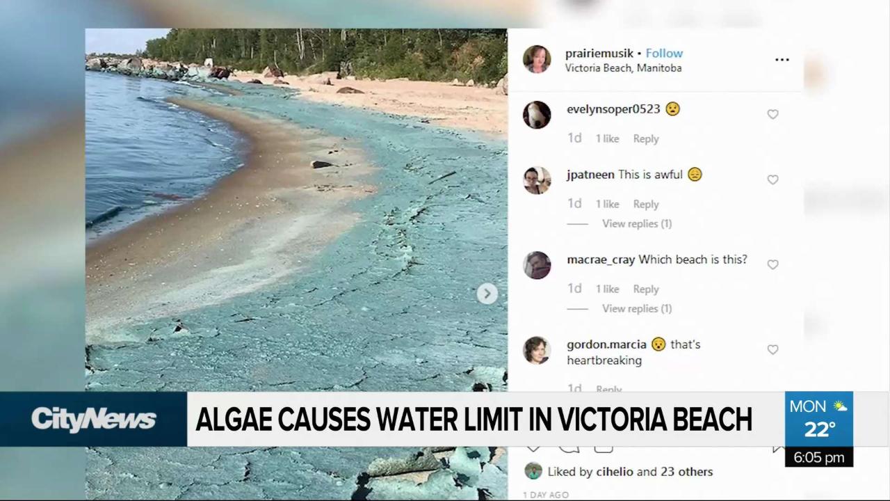 Algae causes water limit in Victoria Beach