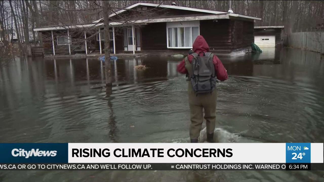 Poll shows Canadians concerned about climate change Video CityNews Edmonton