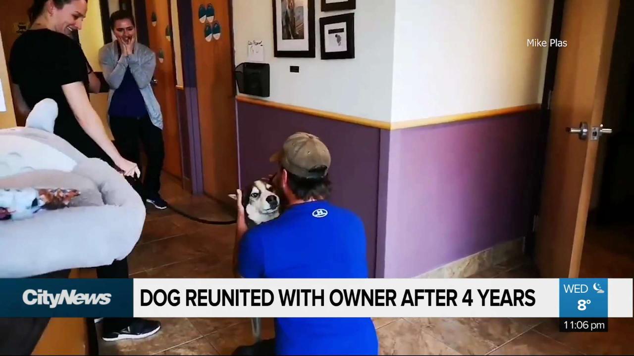 Man reunited with dog after 4 years