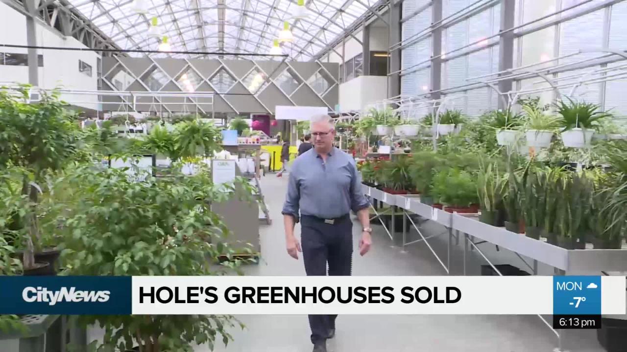 Hole’s greenhouses sold Video CityNews Edmonton