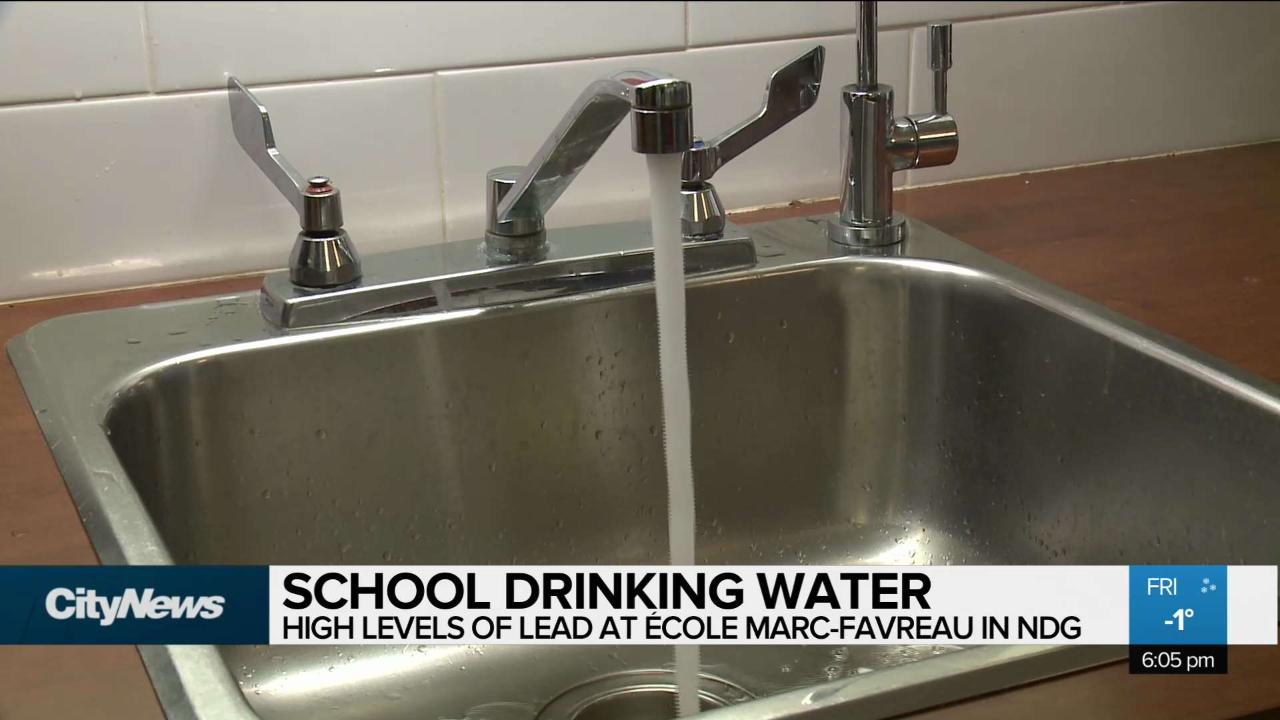 High level of lead in NDG school drinking water - CityNews Montreal