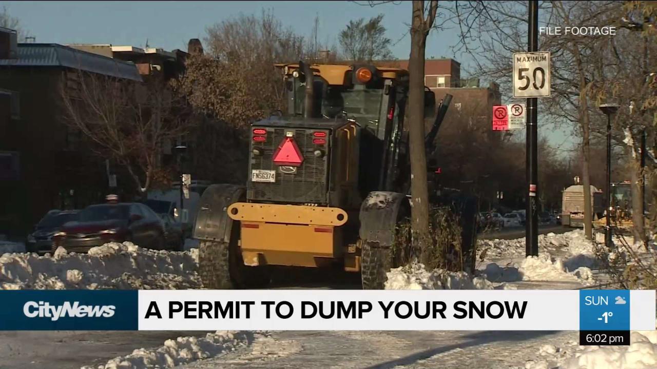 montreal.citynews.ca