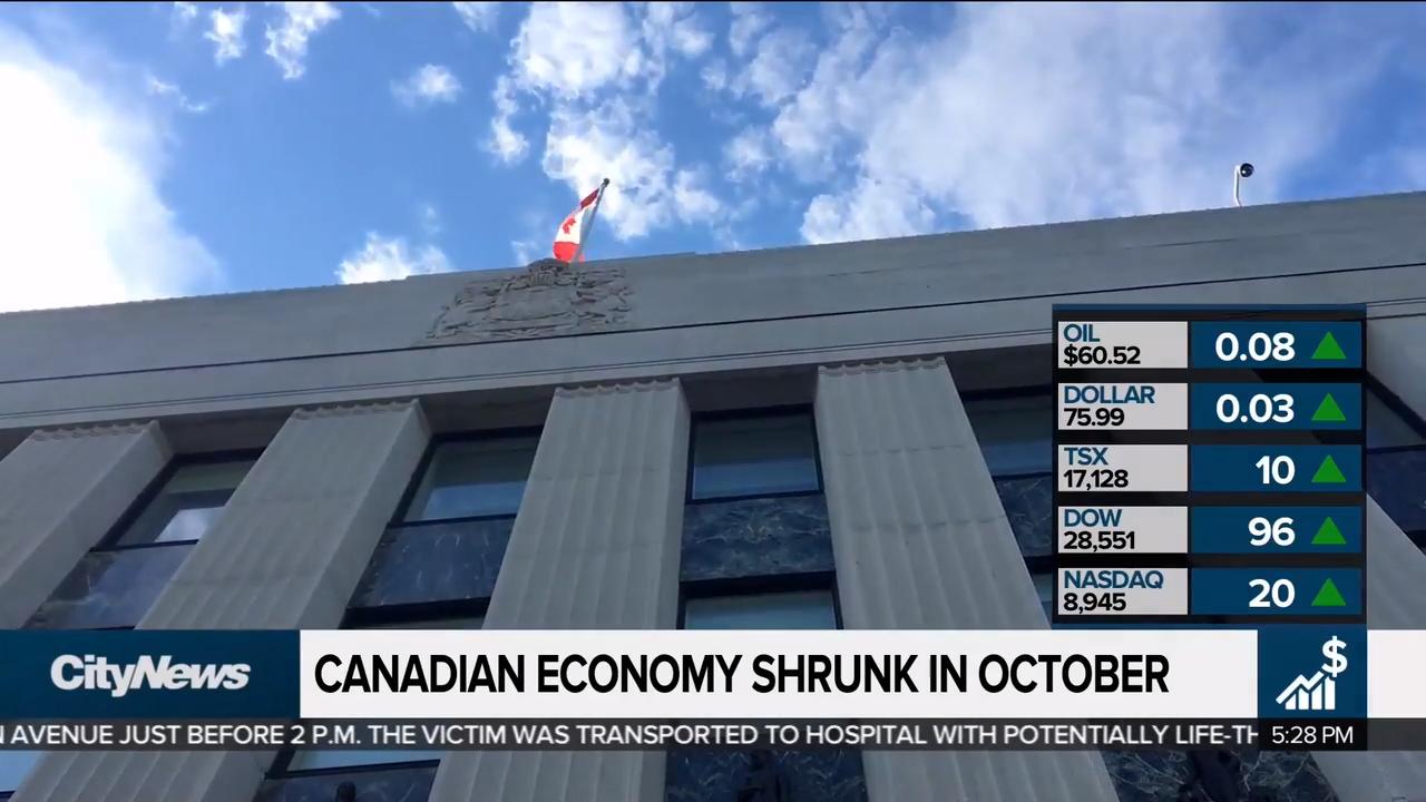 Business Report Economy Shrinks In October Citynews Toronto