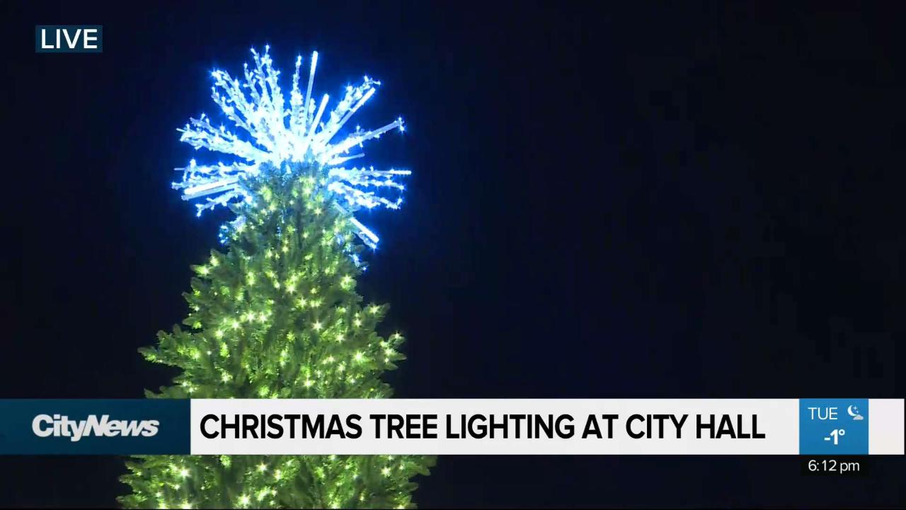 Christmas tree lights up at city hall Video CityNews Winnipeg