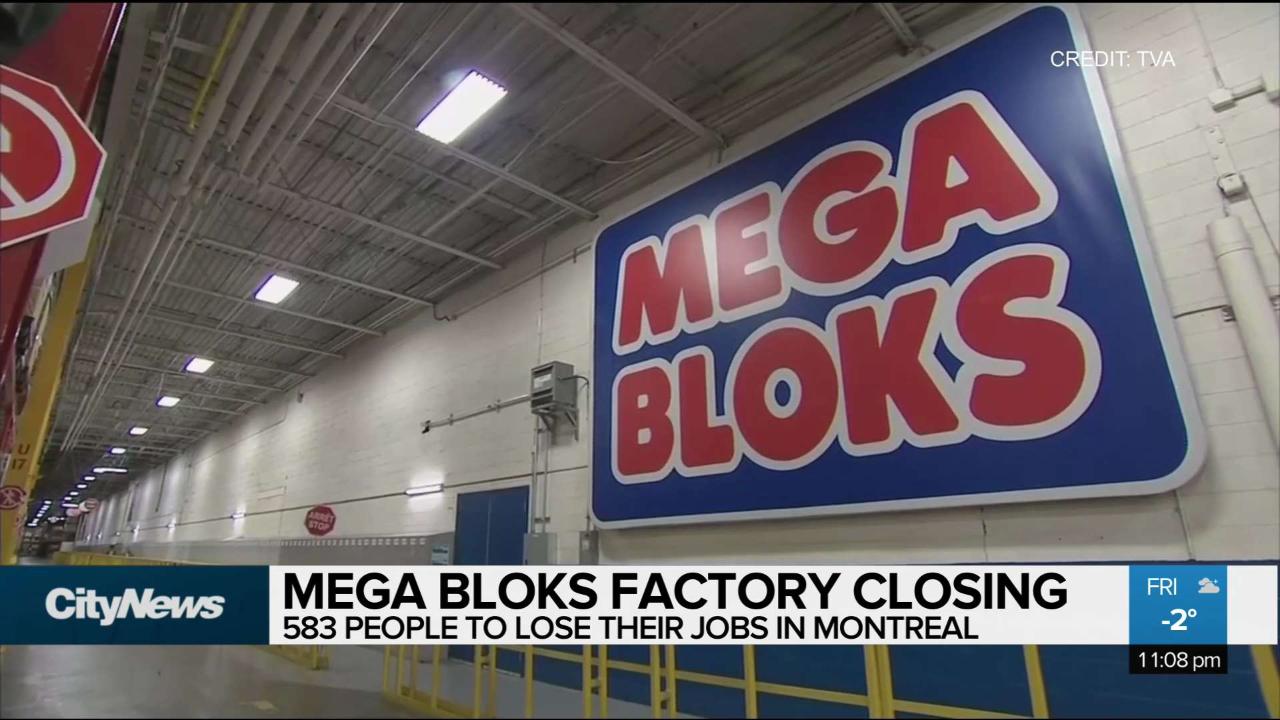 Mega best sale bloks canada