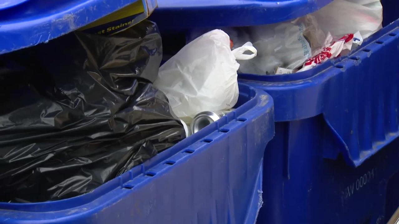 Ontario expanding the blue bin recycling program CityNews Toronto