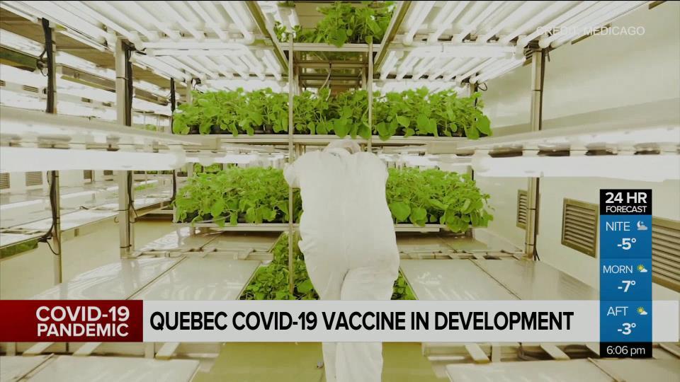 Quebecbased COVID19 vaccine in development