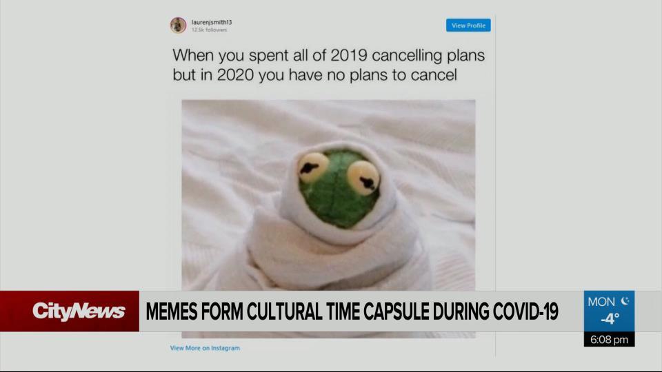 picture Canada Memes 2021 pandemic memes capture canadian covid 19 experience